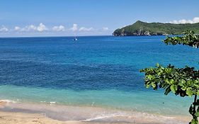 Castaway Surf Retreat